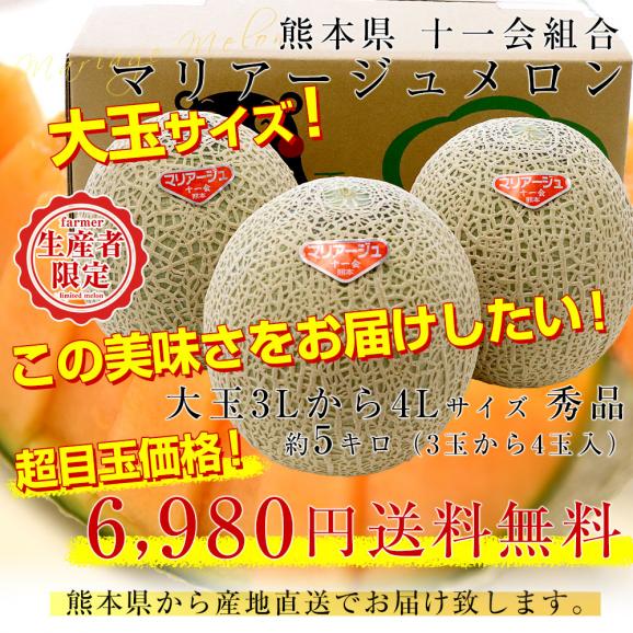 熊本県から産地直送 十一会組合 マリアージュメロン 秀品 大玉3Lから4Lサイズ 約5キロ（3玉から4玉）送料無料 赤肉メロン 春メロン めろん03