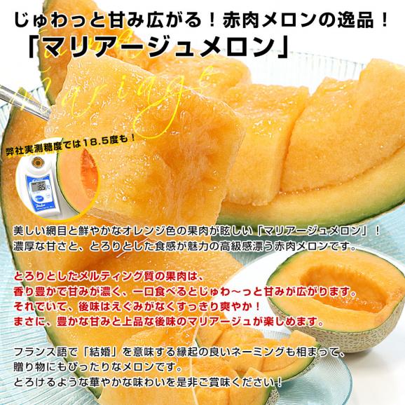 楽天市場】茨城県産 青肉 赤肉 ミックス メロン 秀品 3Lサイズ 4