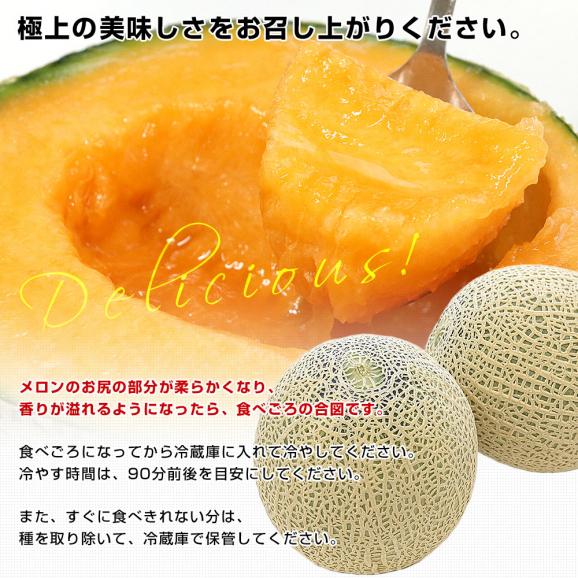 熊本県から産地直送 十一会組合 マリアージュメロン 秀品 大玉3Lから4Lサイズ 約5キロ（3玉から4玉）送料無料 赤肉メロン 春メロン めろん06