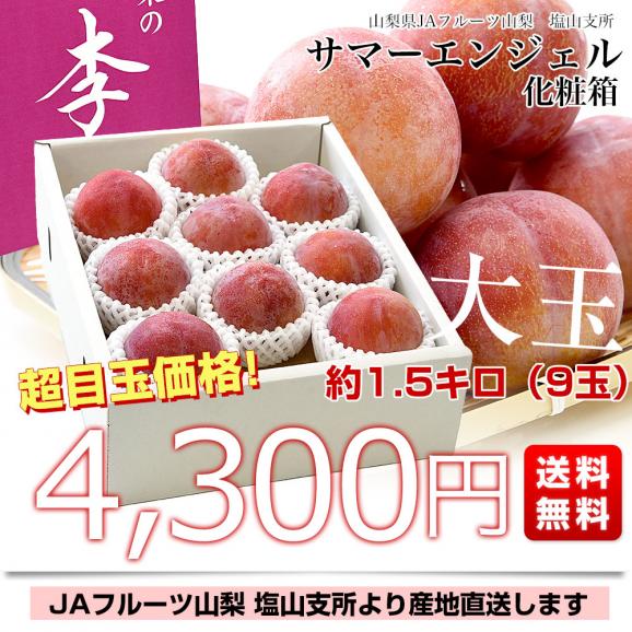山梨県より産地直送 JAフルーツ山梨 塩山支所 サマーエンジェル 大玉 化粧箱 約1.5キロ（9玉）送料無料 プラム ぷらむ すもも スモモ03