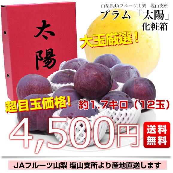 山梨県より産地直送 JAフルーツ山梨 塩山支所 高級プラム「太陽」 大玉 約1.7キロ（12玉入）送料無料 プラム ぷらむ 李 スモモ03