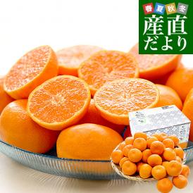 佐賀県 JAからつ ハウスみかん 小粒3Sサイズ 秀品 約2キロ（約400g×5袋）合計40玉から50玉前後 送料無料 蜜柑 ミカン 柑橘 ハウスミカン 唐津 小玉みかん