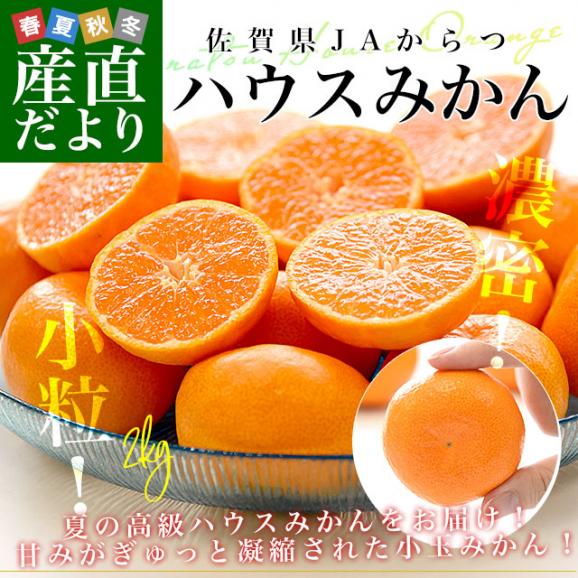 佐賀県 JAからつ ハウスみかん 小粒3Sサイズ 秀品 約2キロ（約400g×5袋）合計40玉から50玉前後 送料無料 蜜柑 ミカン 柑橘 ハウスミカン 唐津 小玉みかん02