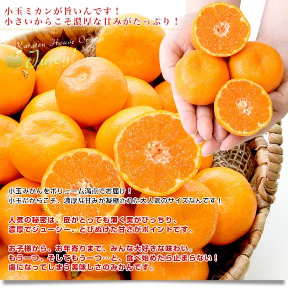 佐賀県 JAからつ ハウスみかん 小粒3Sサイズ 秀品 約2キロ（約400g×5袋）合計40玉から50玉前後 送料無料 蜜柑 ミカン 柑橘 ハウスミカン 唐津 小玉みかん04