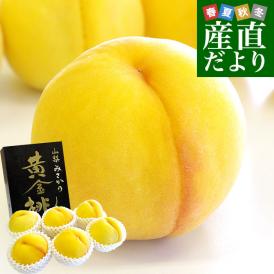 トロピカルフルーツのような濃厚な甘み！桃どころ山梨御坂の「黄金桃」