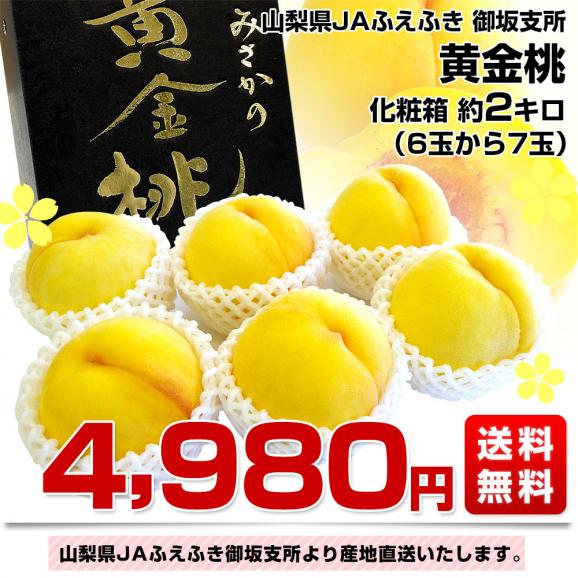 山梨県より産地直送 JAふえふき 御坂支所 黄金桃 化粧箱 約2キロ（6玉から7玉）送料無料 桃 もも ピーチ モモ 黄桃 黒箱03