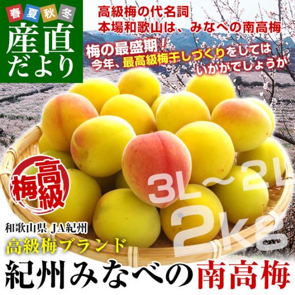 和歌山県産 JA紀州 みなべの南高梅 3Lサイズから2Lサイズ 秀品 約2キロ（50玉から80玉前後） 梅 梅干 梅干し 梅酒 梅サワー 梅ジャム うめ ウメ02