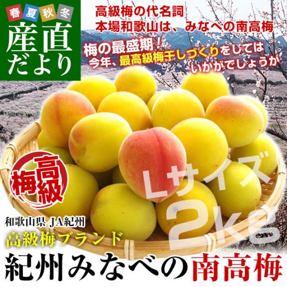 和歌山県産 JA紀州 みなべの南高梅 Lサイズ 秀品 約2キロ（80玉から100玉前後） 梅 梅干 梅干し 梅酒 梅サワー 梅ジャム うめ ウメ02