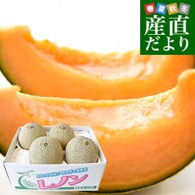 熊本県より産地直送 永松農園 レノンメロン 秀品 大玉3Lから2Lサイズ 約5キロ（4玉から5玉）送料無料 めろん 赤肉メロン 春メロン