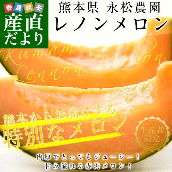熊本県より産地直送 永松農園 レノンメロン 秀品 大玉3Lから2Lサイズ 約5キロ（4玉から5玉）送料無料 めろん 赤肉メロン 春メロン02