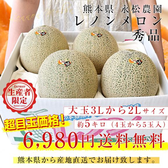 熊本県より産地直送 永松農園 レノンメロン 秀品 大玉3Lから2Lサイズ 約5キロ（4玉から5玉）送料無料 めろん 赤肉メロン 春メロン03
