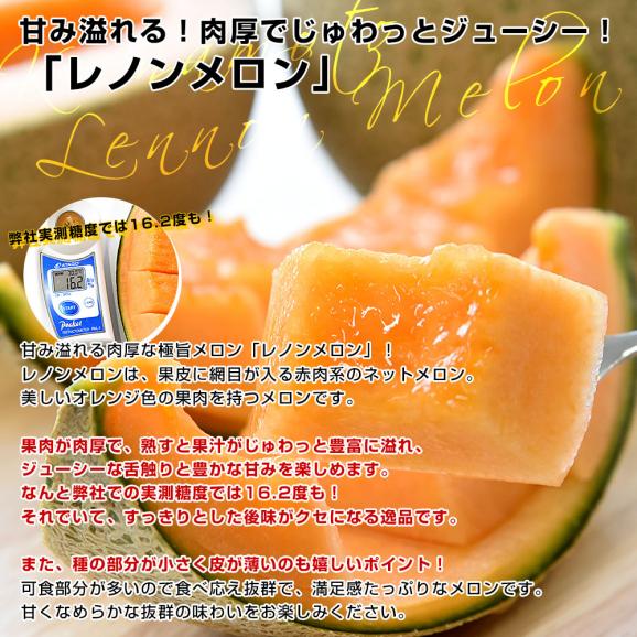 熊本県より産地直送 永松農園 レノンメロン 秀品 大玉3Lから2Lサイズ 約5キロ（4玉から5玉）送料無料 めろん 赤肉メロン 春メロン04