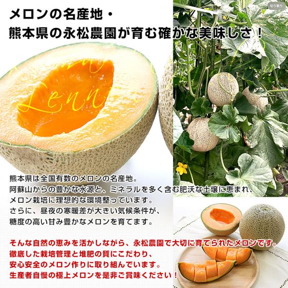 熊本県より産地直送 永松農園 レノンメロン 秀品 大玉3Lから2Lサイズ 約5キロ（4玉から5玉）送料無料 めろん 赤肉メロン 春メロン05