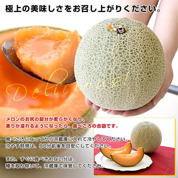 熊本県より産地直送 永松農園 レノンメロン 秀品 大玉3Lから2Lサイズ 約5キロ（4玉から5玉）送料無料 めろん 赤肉メロン 春メロン06