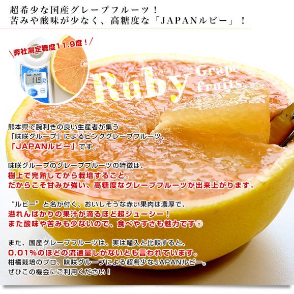 熊本県 味咲グループ 国産グレープフルーツ「JAPANルビー」 3LからLサイズ 3.5キロ以上(9玉から12玉入り) 送料無料 柑橘 ルビーグレープフルーツ04