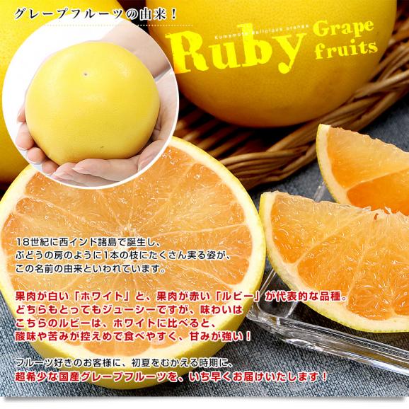 熊本県 味咲グループ 国産グレープフルーツ「JAPANルビー」 3LからLサイズ 3.5キロ以上(9玉から12玉入り) 送料無料 柑橘 ルビーグレープフルーツ05