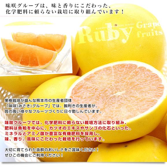 熊本県 味咲グループ 国産グレープフルーツ「JAPANルビー」 3LからLサイズ 3.5キロ以上(9玉から12玉入り) 送料無料 柑橘 ルビーグレープフルーツ06