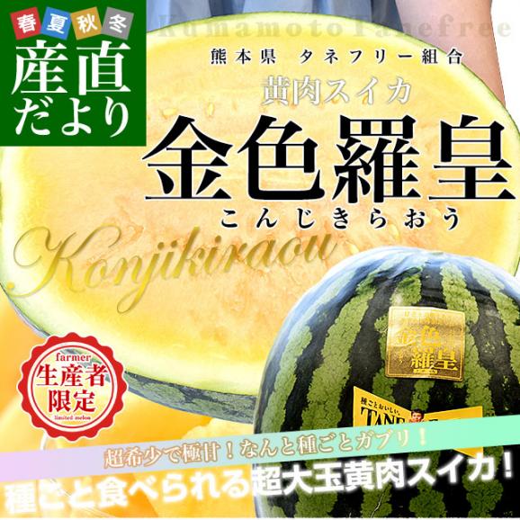 熊本県から産地直送 タネフリー組合 黄肉スイカ「金色羅皇（こんじきらおう）」秀品 大玉3Lから4Lサイズ 8キロ以上 1玉 送料無料 すいか 西瓜 超大玉スイカ 黄色果肉02