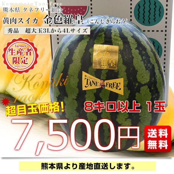 熊本県から産地直送 タネフリー組合 黄肉スイカ「金色羅皇（こんじきらおう）」秀品 大玉3Lから4Lサイズ 8キロ以上 1玉 送料無料 すいか 西瓜 超大玉スイカ 黄色果肉03