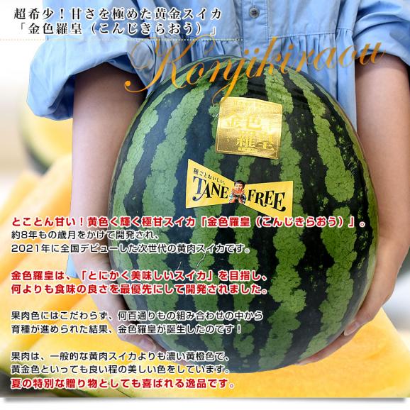 熊本県から産地直送 タネフリー組合 黄肉スイカ「金色羅皇（こんじきらおう）」秀品 大玉3Lから4Lサイズ 8キロ以上 1玉 送料無料 すいか 西瓜 超大玉スイカ 黄色果肉04