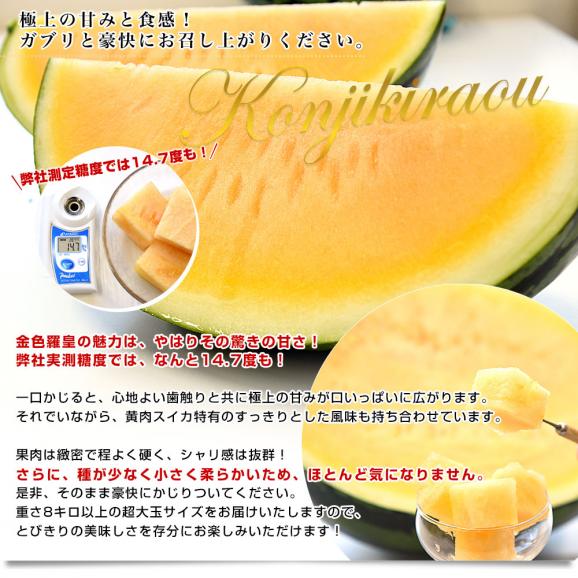 熊本県から産地直送 タネフリー組合 黄肉スイカ「金色羅皇（こんじきらおう）」秀品 大玉3Lから4Lサイズ 8キロ以上 1玉 送料無料 すいか 西瓜 超大玉スイカ 黄色果肉05