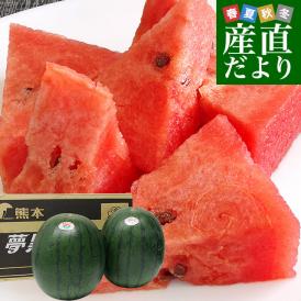 熊本県産　JAかもと　夢黒小玉スイカ(ひとりじめBONBON) 4Lサイズ 約8キロ (約4キロ×2玉)　送料無料　西瓜 すいか