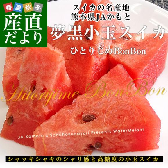 熊本県産　JAかもと　夢黒小玉スイカ(ひとりじめBONBON) 4Lサイズ 約8キロ (約4キロ×2玉)　送料無料　西瓜 すいか02