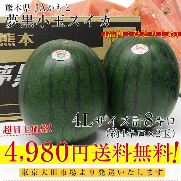 熊本県産　JAかもと　夢黒小玉スイカ(ひとりじめBONBON) 4Lサイズ 約8キロ (約4キロ×2玉)　送料無料　西瓜 すいか03