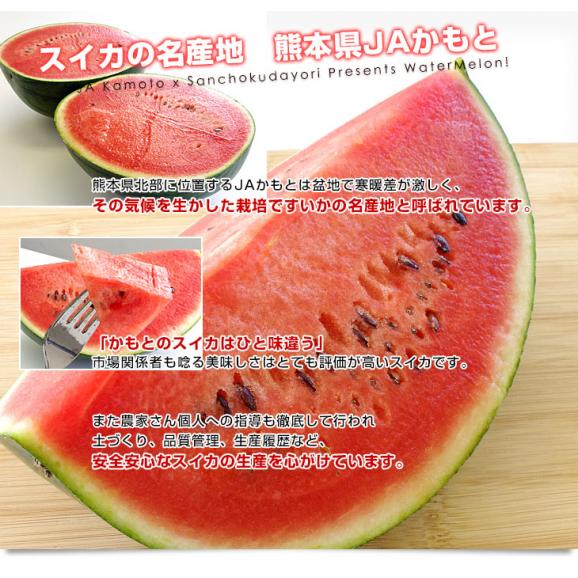 熊本県産　JAかもと　夢黒小玉スイカ(ひとりじめBONBON) 4Lサイズ 約8キロ (約4キロ×2玉)　送料無料　西瓜 すいか04