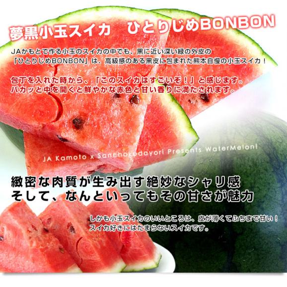 熊本県産　JAかもと　夢黒小玉スイカ(ひとりじめBONBON) 4Lサイズ 約8キロ (約4キロ×2玉)　送料無料　西瓜 すいか05