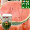 熊本県から産地直送 タネフリー組合 超大玉スイカ「羅皇ザ・スウィート」秀品 超大玉3Lから4Lサイズ 8キロ以上 1玉 送料無料 すいか 西瓜 大玉スイカ