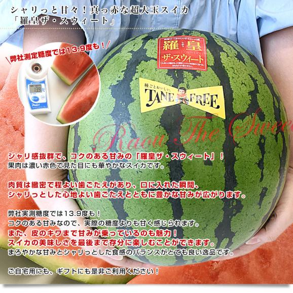熊本県から産地直送 タネフリー組合 超大玉スイカ「羅皇ザ・スウィート」秀品 超大玉3Lから4Lサイズ 8キロ以上 1玉 送料無料 すいか 西瓜 大玉スイカ04