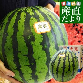鳥取県産JA鳥取中央　倉吉スイカ　秀品　超大玉5Lサイズ　10キロ以上　1玉　西瓜　すいか　スイカ　送料無料
