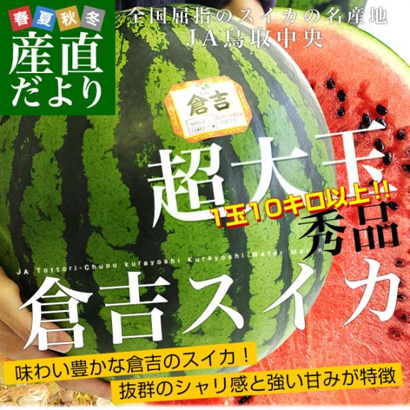 鳥取県産JA鳥取中央　倉吉スイカ　秀品　超大玉5Lサイズ　10キロ以上　1玉　西瓜　すいか　スイカ　送料無料02