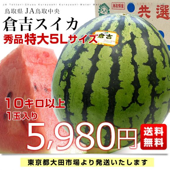 鳥取県産JA鳥取中央　倉吉スイカ　秀品　超大玉5Lサイズ　10キロ以上　1玉　西瓜　すいか　スイカ　送料無料03
