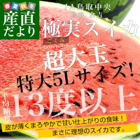 鳥取県産　JA鳥取中央倉吉スイカ　極実（ごくみ） 秀品 特大5Lサイズ　超大玉 10キロ以上　 送料無料 西瓜 すいか02
