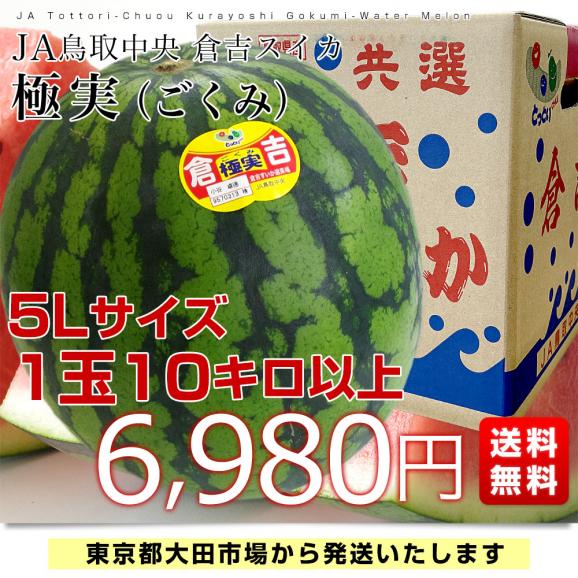 鳥取県産　JA鳥取中央倉吉スイカ　極実（ごくみ） 秀品 特大5Lサイズ　超大玉 10キロ以上　 送料無料 西瓜 すいか03