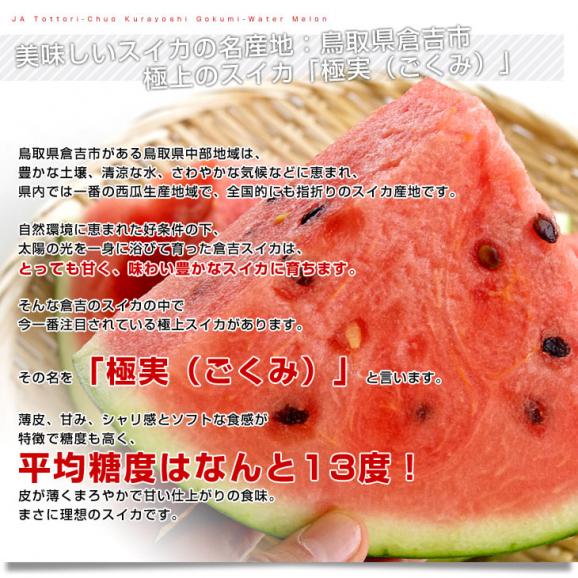 鳥取県産　JA鳥取中央倉吉スイカ　極実（ごくみ） 秀品 特大5Lサイズ　超大玉 10キロ以上　 送料無料 西瓜 すいか04