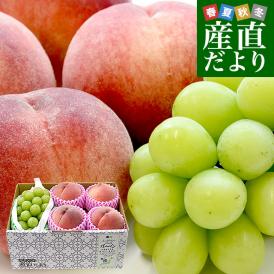 山梨県産 プレミアム果物ギフト「シャインマスカット×一桃匠」 送料無料  フルーツ詰め合わせ もも ぶどう ハウスぶどう ギフト 夏ギフト お中元 御中元