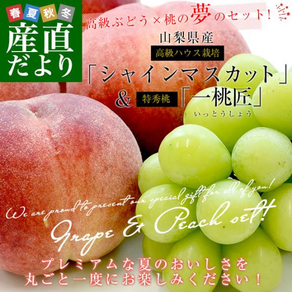 山梨県産 プレミアム果物ギフト「シャインマスカット×一桃匠」 送料無料  フルーツ詰め合わせ もも ぶどう ハウスぶどう ギフト 夏ギフト お中元 御中元02