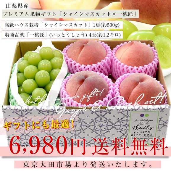 山梨県産 プレミアム果物ギフト「シャインマスカット×一桃匠」 送料無料  フルーツ詰め合わせ もも ぶどう ハウスぶどう ギフト 夏ギフト お中元 御中元03