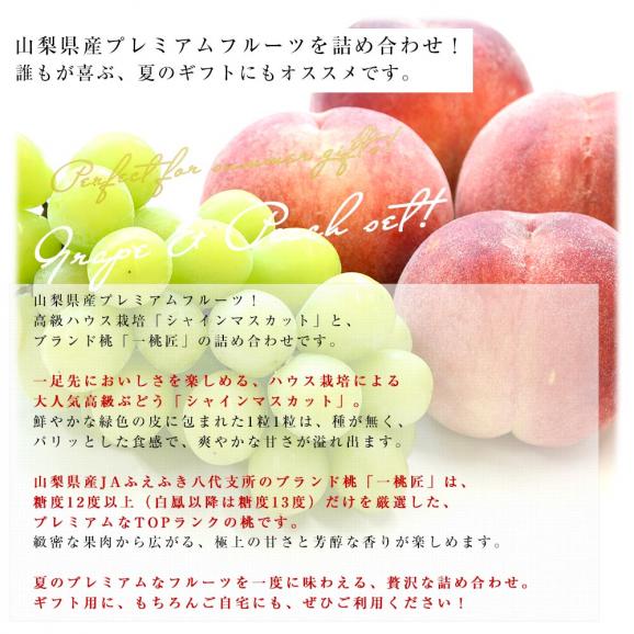 山梨県産 プレミアム果物ギフト「シャインマスカット×一桃匠」 送料無料  フルーツ詰め合わせ もも ぶどう ハウスぶどう ギフト 夏ギフト お中元 御中元04