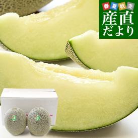 こだわりの生産者メロンを指定買い！熊本県・永松農園の肥後グリーンメロン