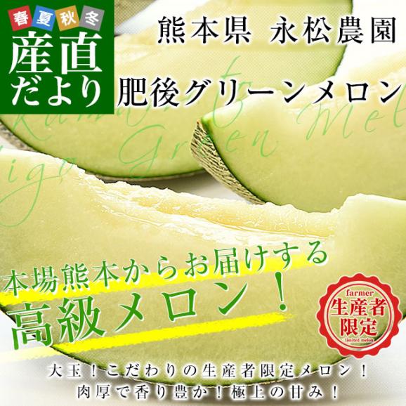 熊本県より産地直送 永松農園 肥後グリーンメロン 秀品 大玉4Lサイズ以上 約4キロ（2玉入り）送料無料 めろん 青肉メロン 肥後ぐりーん02