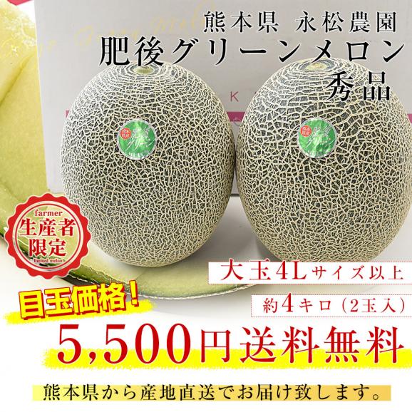熊本県より産地直送 永松農園 肥後グリーンメロン 秀品 大玉4Lサイズ以上 約4キロ（2玉入り）送料無料 めろん 青肉メロン 肥後ぐりーん03