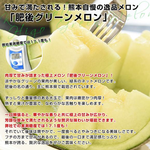 熊本県より産地直送 永松農園 肥後グリーンメロン 秀品 大玉4Lサイズ以上 約4キロ（2玉入り）送料無料 めろん 青肉メロン 肥後ぐりーん04