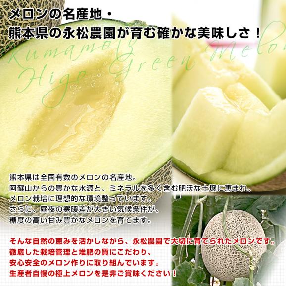 熊本県より産地直送 永松農園 肥後グリーンメロン 秀品 大玉4Lサイズ以上 約4キロ（2玉入り）送料無料 めろん 青肉メロン 肥後ぐりーん05