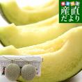 熊本県から産地直送 荻迫出荷組合 青肉メロン つる付き肥後グリーンメロン 特 5Lサイズ 合計約5キロ（2玉入り）送料無料 めろん 大玉メロン