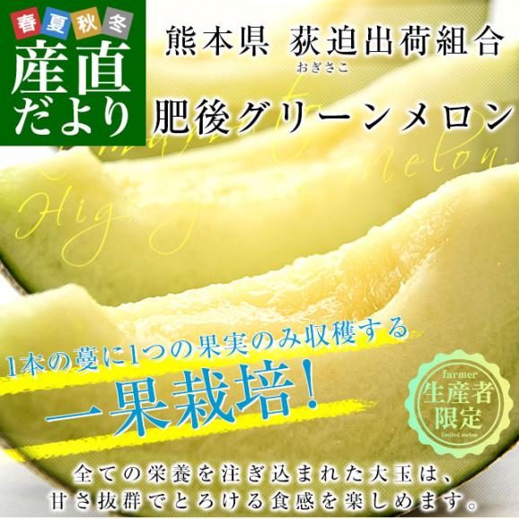 熊本県から産地直送 荻迫出荷組合 青肉メロン つる付き肥後グリーンメロン 特 5Lサイズ 合計約5キロ（2玉入り）送料無料 めろん 大玉メロン02