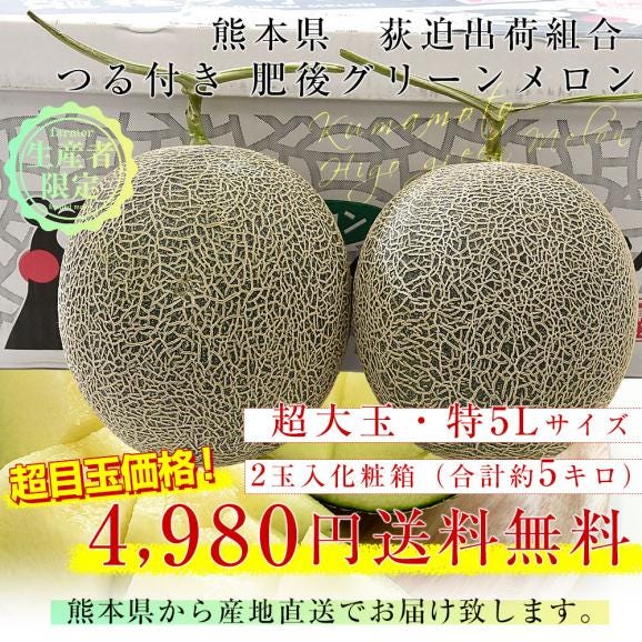 熊本県から産地直送 荻迫出荷組合 青肉メロン つる付き肥後グリーンメロン 特 5Lサイズ 合計約5キロ（2玉入り）送料無料 めろん 大玉メロン03